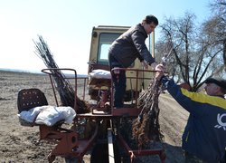 Закладання нового саду в Уманському НУС